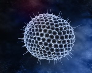 herpes virus causes shingles in teens